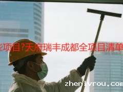 开荒保洁做哪些项目?天府瑞丰成都全项目清单(附场景化方案)